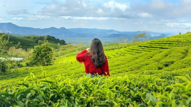 Vườn hoa Đà Lạt là điểm đến phù hợp để khám phá đặc trưng thành phố ngàn hoa