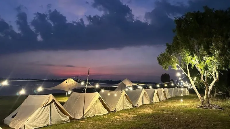 Cô La Camping là một địa điểm camping tại khu vực hồ Dầu Tiếng được nhiều người tìm kiếm