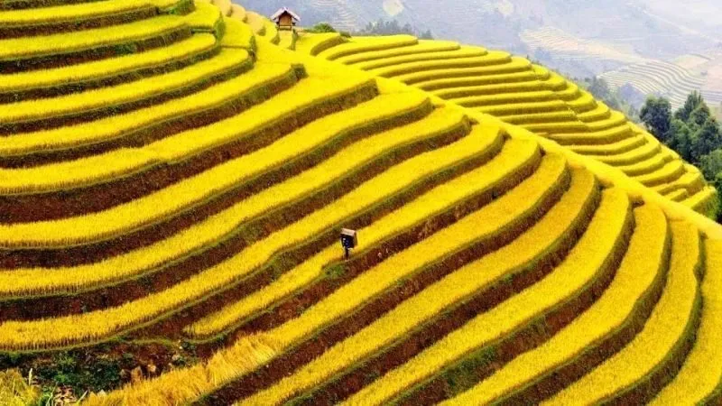 Du lịch Hà Giang: 7 điểm đến đẹp, hùng vĩ không nên bỏ lỡ